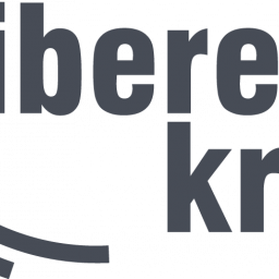 LK Logotype PANTONE Cool Gray 11 U